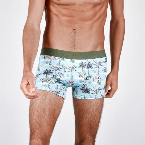 Boxer elephant face