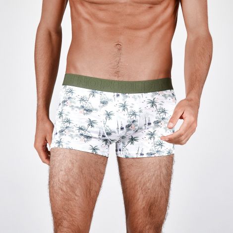 Boxer Landscape face