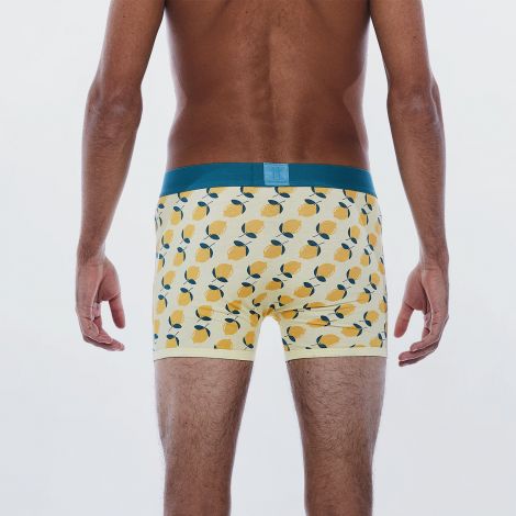 Boxer lemon face