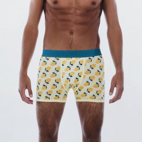 Boxer lemon face