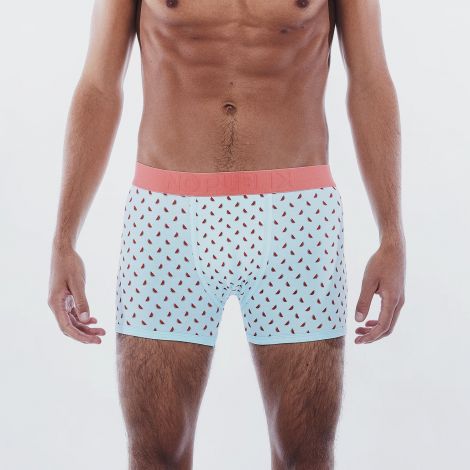 Boxer Watermelon face