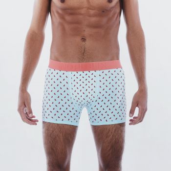 Boxer Watermelon face